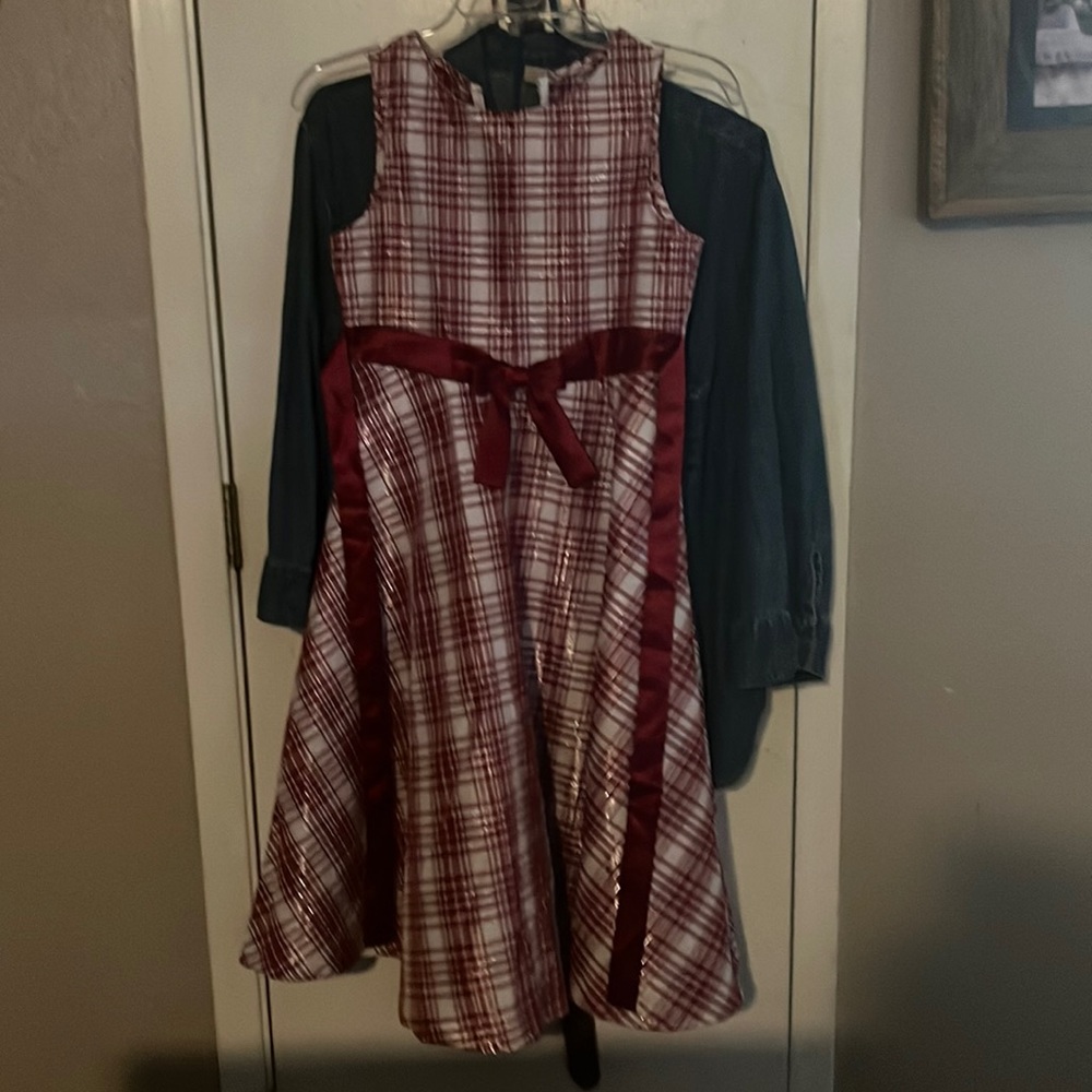 NWOT Farm Plaid Dress